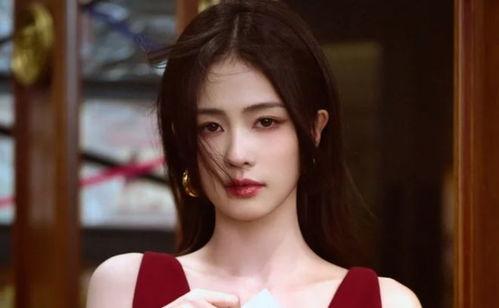 白鹿服装爆料最新